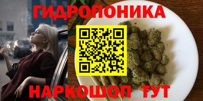 круглые Кингисепп