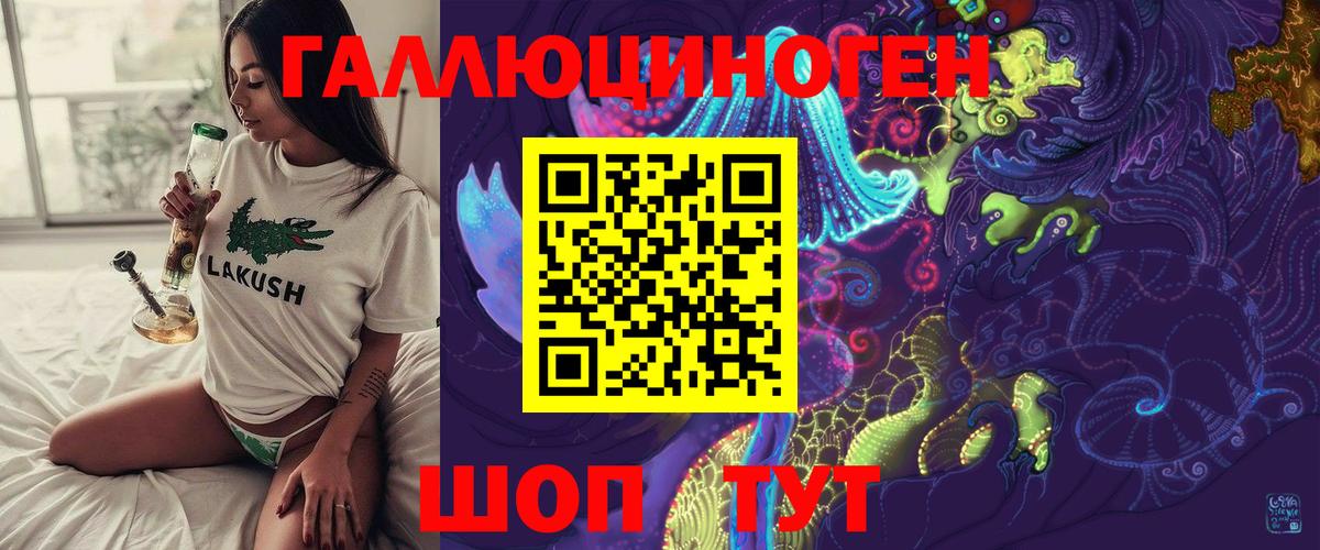 Котлас  наркошоп  Вход с VPN  Галлюциногенные грибы Psilocybine cubensis 