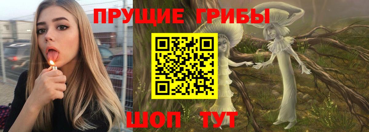 Галлюциногенные грибы MAGIC MUSHROOMS Котлас